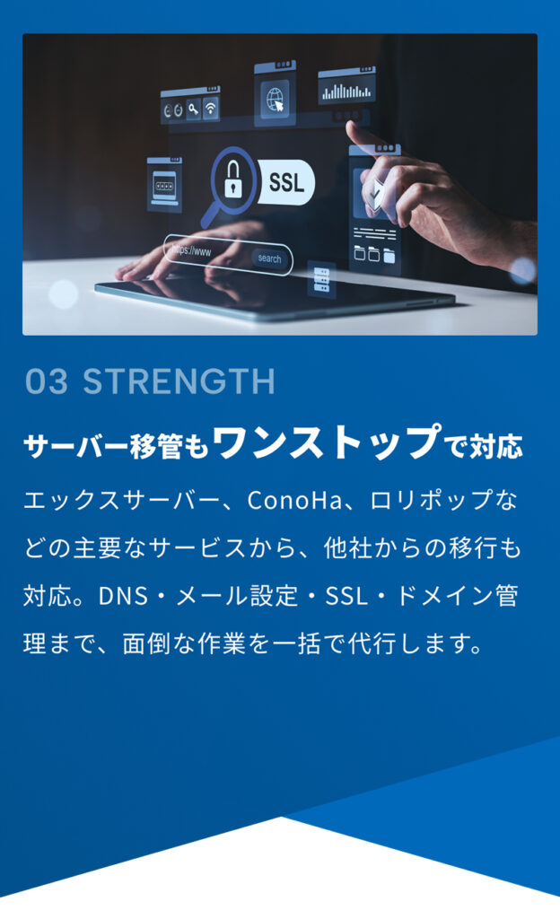 wordpressバスターズ|top