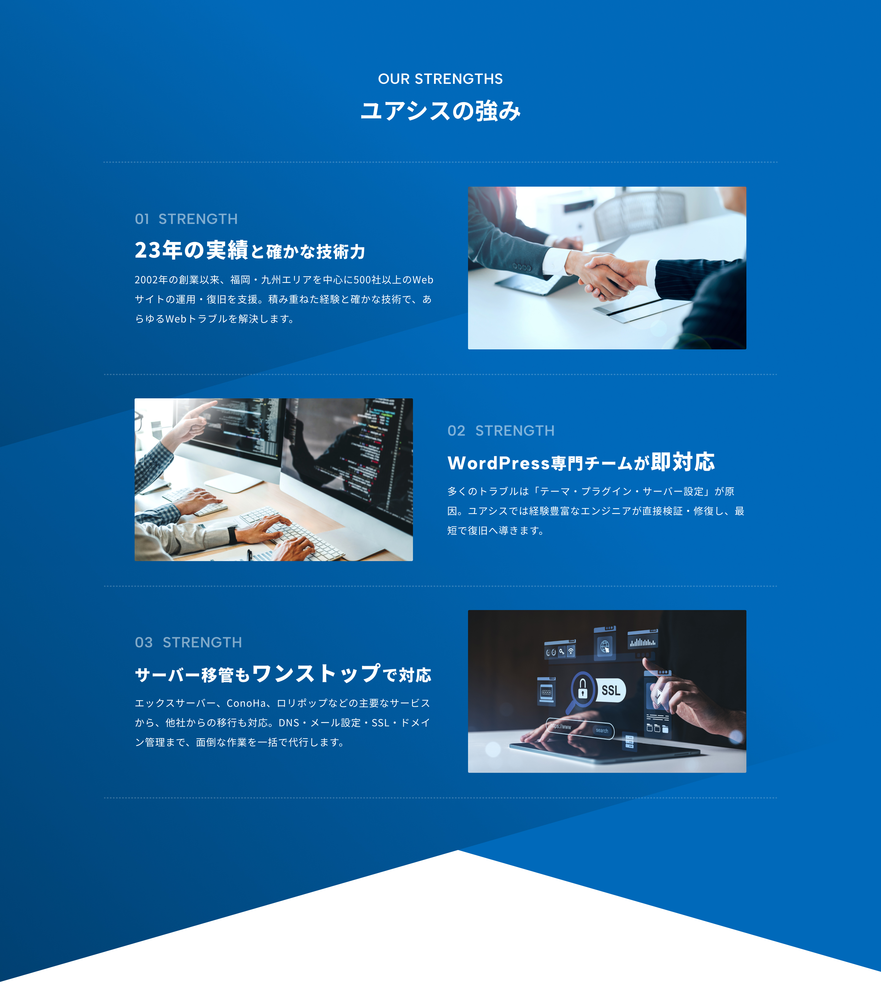 wordpressバスターズ|top